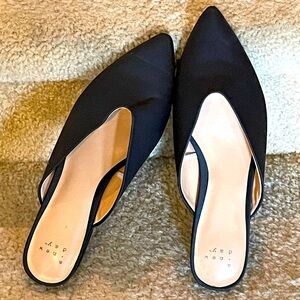 A new day pointy toes loafer